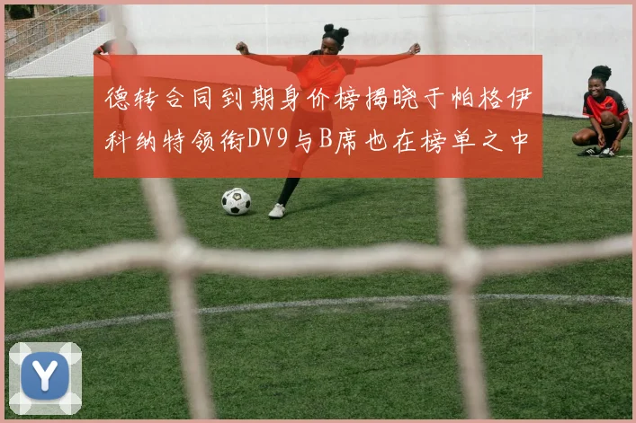 德转合同到期身价榜揭晓于帕格伊科纳特领衔DV9与B席也在榜单之中