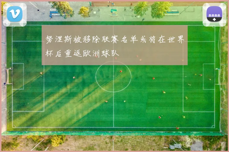 努涅斯被移除联赛名单或将在世界杯后重返欧洲球队