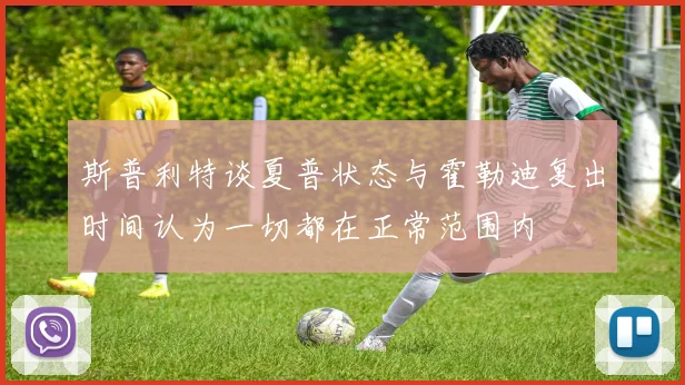 斯普利特谈夏普状态与霍勒迪复出时间认为一切都在正常范围内